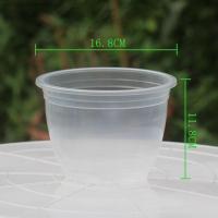 绿萝懒人自动吸水盆塑料盆栽花盆托盘客厅盆子特价批发清仓储水盆 2个装送棉绳透明吸水盆