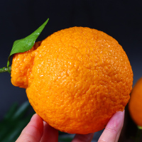 四川不知火5斤大果（净重） 新鲜丑桔子水果 丑八怪丑柑带叶 孕妇水果