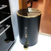 脚踩式家用带盖高档拉轻奢卧室网红客厅卫生间厨房卧室