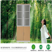 两门文件柜XWWJG005