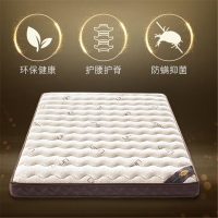 幸旺1.2米20公分厚床垫XWCD005