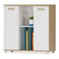 幸旺书柜 矮柜XWAG001