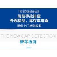 维真验车 新车检测