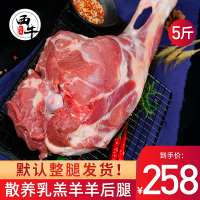 羊肉新鲜5斤羊后腿肉原散养内蒙古羔羊后腿肉现杀烧烤生羊肉