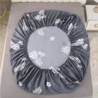 不掉色防滑床罩床笠单件棕垫席梦思保护套多用床单可水洗床垫罩