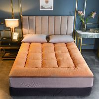 加厚保暖羊羔绒床垫双人可折叠榻榻米床褥学生宿舍垫被床护垫褥子