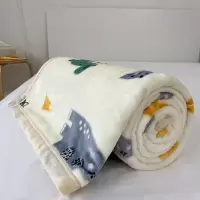 毛毯被子夏季薄款儿童珊瑚绒午睡毯子毛巾被春秋空调盖毯宿舍铺床