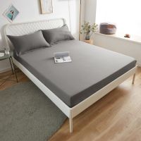 床笠单件防滑床罩席梦思床垫保护套防尘罩1.5m/1.8米床套棕垫罩