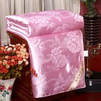 蚕丝被桑蚕丝被子冬天加厚保暖冬被春秋被芯空调被单双人