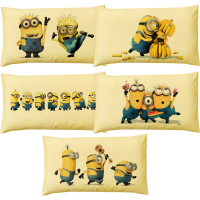 儿童纯棉枕套幼儿园小号枕头30504060学生单人枕芯枕套小黄人枕头