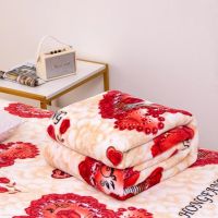 毛毯被单双人毛毯床单空调毯学生寝室毯礼品毯童毯