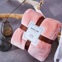 超柔法兰绒毛毯加厚保暖床单单人午睡毯休闲珊瑚绒四季毯子