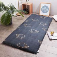 褥子套90x200床垫套学生宿舍褥套被套单双人床垫防尘保护套垫