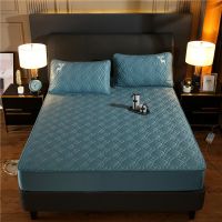 防螨长绒棉床笠单件全棉1.8m纯棉加厚夹棉床罩席梦思防滑垫套