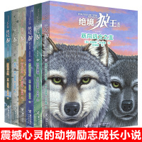 绝境狼王系列全套6册影子/孤独的小狼/冰川狼魂/守卫火山少儿童读物故事书儿童文学动物小说6-8-9-12岁小学生课外阅读