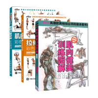 肌肉力量训练+拉伸训练彩色图谱+肌肉健美训练图解新版 3册套 运动健身健美肌肉训练书囚徒健身女无器械健身教程大全 健身教