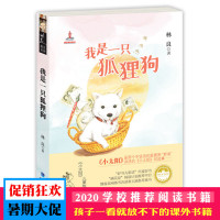 我是一只狐狸狗-小太阳儿童版 9-12岁中小学生课外读物 二三四年级儿童文学课外书童书外阅读 青少年少儿图书 林良美文书