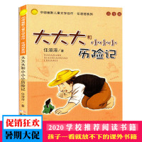 大大大和小小小历险记(注音版) 中国幽默儿童文学创作任溶溶系列6-10岁少儿冒险故事图书籍 小学生校园励志