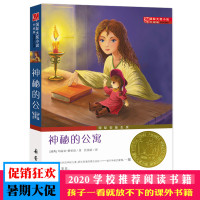 正版 神秘的公寓 书 国际大奖小说升级版 国际安徒生奖 新蕾出版社 无注音 9-11-12-15岁青少年儿童文学小说 小