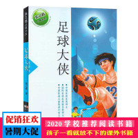 足球大侠 张之路品藏书系 推荐阅读 浙江少年儿童出版社