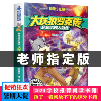 正版 大灰狼罗克传 皮皮鲁总动员 经典童话系列 郑渊洁四大名传 联合国评选的全球十大图书 郑渊洁著 浙江少儿出版社