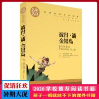 彼得潘金银岛 名家名译 世界经典文学名著 原汁原味读名著 儿童青少年版 中小学生课外阅读书籍