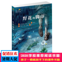 野花的脚印 国际大奖小说成长版根据真人经历改编如野花般朴实但顽强 头像被印在一美元硬币上的印第安女性的传奇故事 美斯奥台