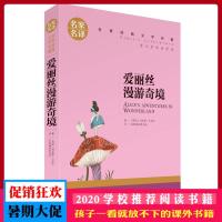 爱丽丝漫游奇境 梦游仙境记 名家名译 世界经典文学名著 原汁原味读名著 儿童青少年版 中小学生课外阅读书籍