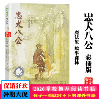 正版 四年级魔法象故事森林忠犬八公书悦读者肖战推荐的书小学生课外阅读书籍儿童文 书儿童书籍 6-12周岁 儿童故事书