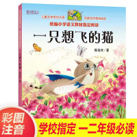一只想飞的猫二年级必读注音版正版天地出版社小学生课外书陈伯吹