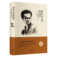 钢铁是怎样炼成的精装名家名译原版原著中文全译本 世界经典文学名著系列 青少年励志小说初中小学课外阅读读物书籍