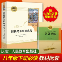 钢铁是怎样炼成的(人民教育出版社)(8年级下)推荐书目/初中生统编语文教材配套阅读/56789年级中小学生书籍傅雷家书正