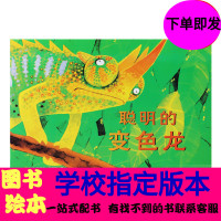 聪明的变色龙儿童绘本 班主任推荐一二三年级