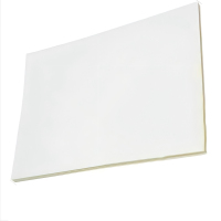 彩标 BGJ-260 300mm*260mm 胶贴 1.00 盒/张 (计价单位:张) 白色