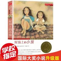 正版图书 屋顶上的小孩 新蕾出版社 国际大奖小说升级版 小学生课外阅读书籍三年级四五六年级读书7-8-10-12-1
