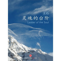 [正版]灵魂的台阶 王石 田朴《习惯就好》