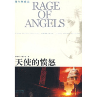 天使的愤怒 正版 全新