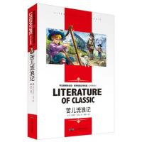 苦儿流浪记 名师精读版小学生课外阅读物8-9-10-12周岁少儿童书籍2-3-4-5-6三四五六二年级图书世界名著优