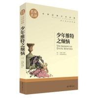少年维特之烦恼 中文版 书籍 书 名家名译 文学名著小说 青少年读物