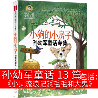 小狗的小房子二年级课外书正版胖小猪的春天 小刺猬的西瓜房子小狼请客小贝流浪记冰小鸭的春天孙幼军童话精选小学生非注音版