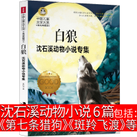 沈石溪动物小说6篇第七条猎狗斑羚飞渡梅里山鹰棕熊的故事老象恩仇记白狼书全集全系列全套单本经典儿童文学四五正版小学生六年级