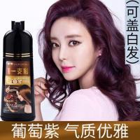 葡萄紫1瓶（可盖白发） 一洗彩一洗黑天然植物彩色染发剂自然黑色白发变黑发染发膏洗发露