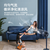 美的(Midea)空气循环扇 FGD24WDJ遥控定时落地家用立式涡轮对流风扇 恒温省电 智能循环