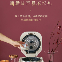 九阳电饭煲家用小型迷你电饭锅国潮正品智能多功能煲汤煮饭锅F20FZ-F131(白色)