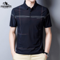 传奇保罗(CHUANQIBAOLUO)短袖POLO衫男夏季2022新中年爸爸男装半袖T恤薄款商务休闲上衣服