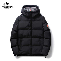 传奇保罗(CHUANQIBAOLUO)22新款冬季男士棉衣休闲棉服男羽绒棉袄面包服立领外套