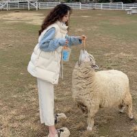 佚貌YIMAO 2021年冬季新款轻薄羽绒马甲女式秋反季韩版短款羽绒服女马甲发背