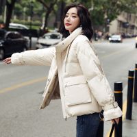 佚貌YIMAO 2021冬季羽绒服女中长款立领新款女式冬装女装外套女