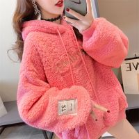 佚貌YIMAO 网红同款羊羔绒刺绣高领卫衣女冬季连帽加绒加厚宽松上衣女