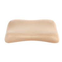 锦鲤凝胶清凉舒睡枕 PRO\63*40*10-11\无(15-20个工作日内发货)